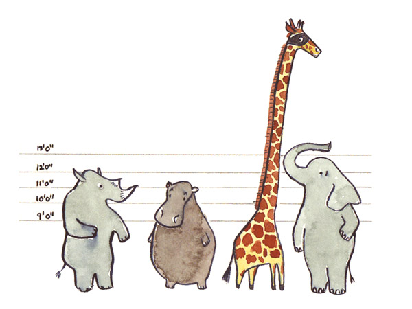 The Line-up