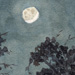 moonslice