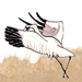 whoopingcranes